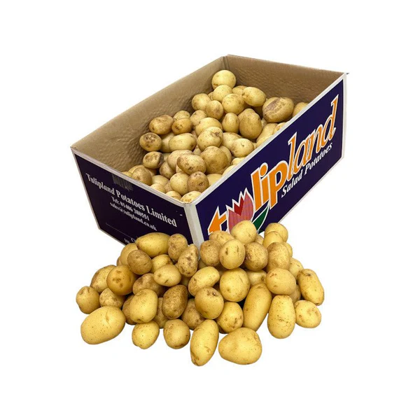 Ahmed Bro Oldham Product Image
