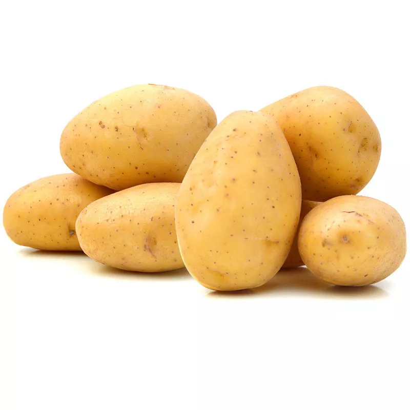 Ahmed Bro Oldham Product Image