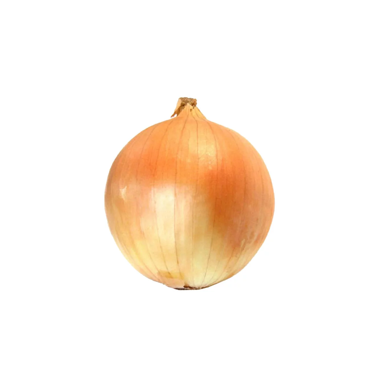 Ahmed Bro Oldham Product Image