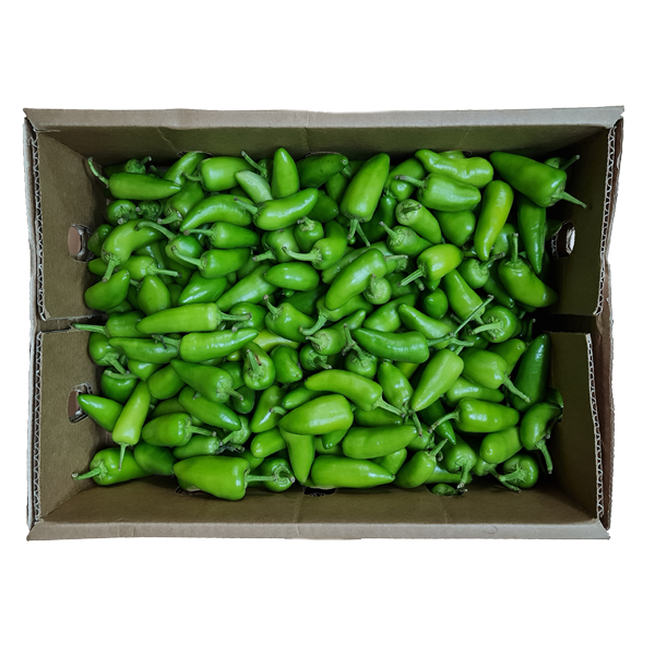 Ahmed Bro Oldham Product Image