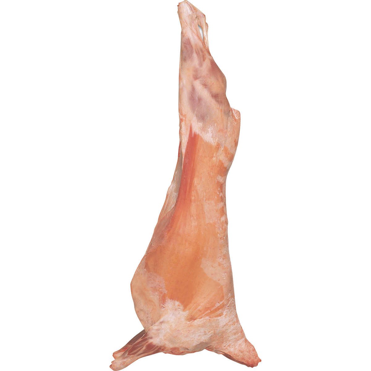 Ahmed Bro Oldham Product Image
